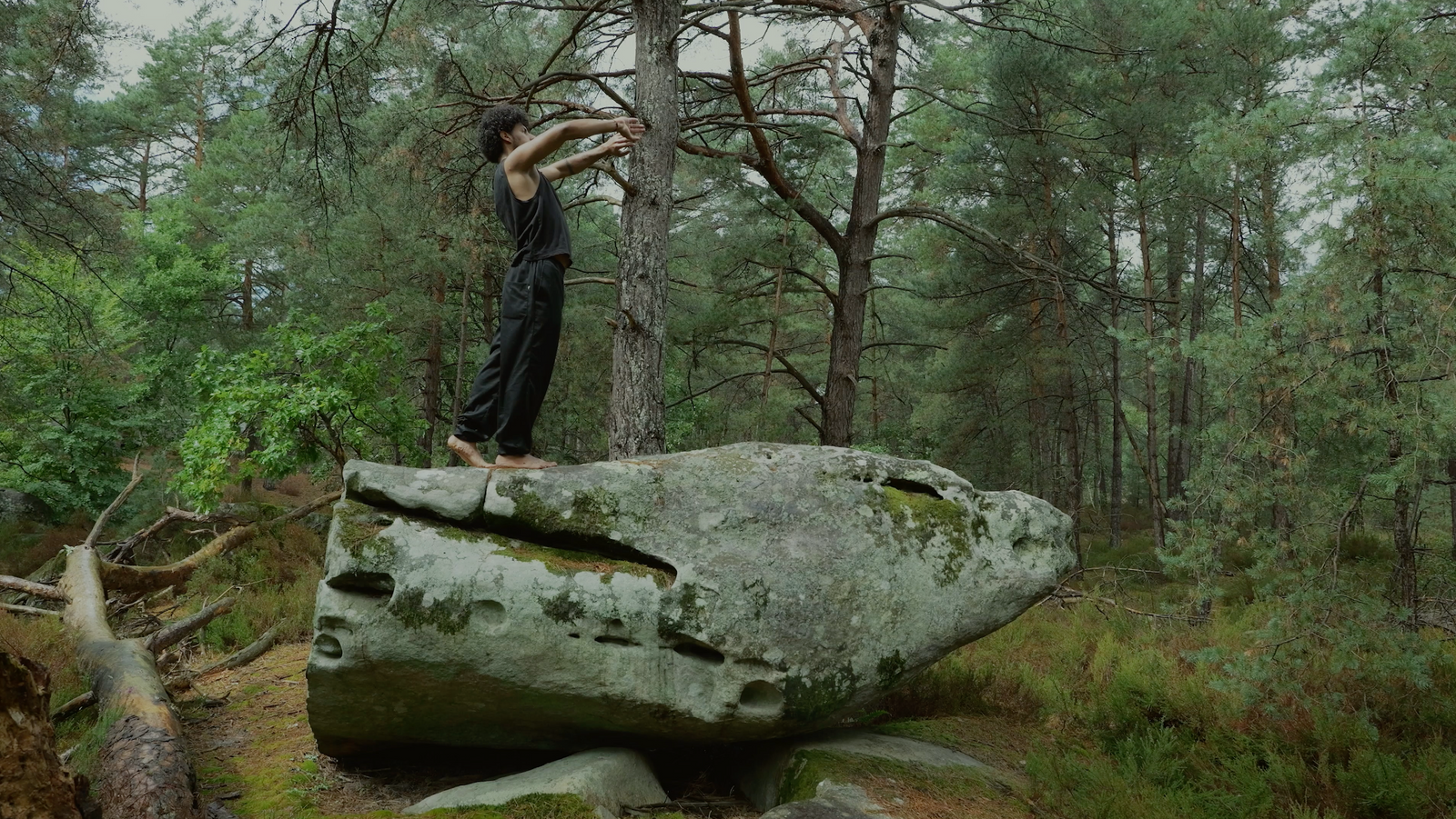A Sun in the Palm — film still
