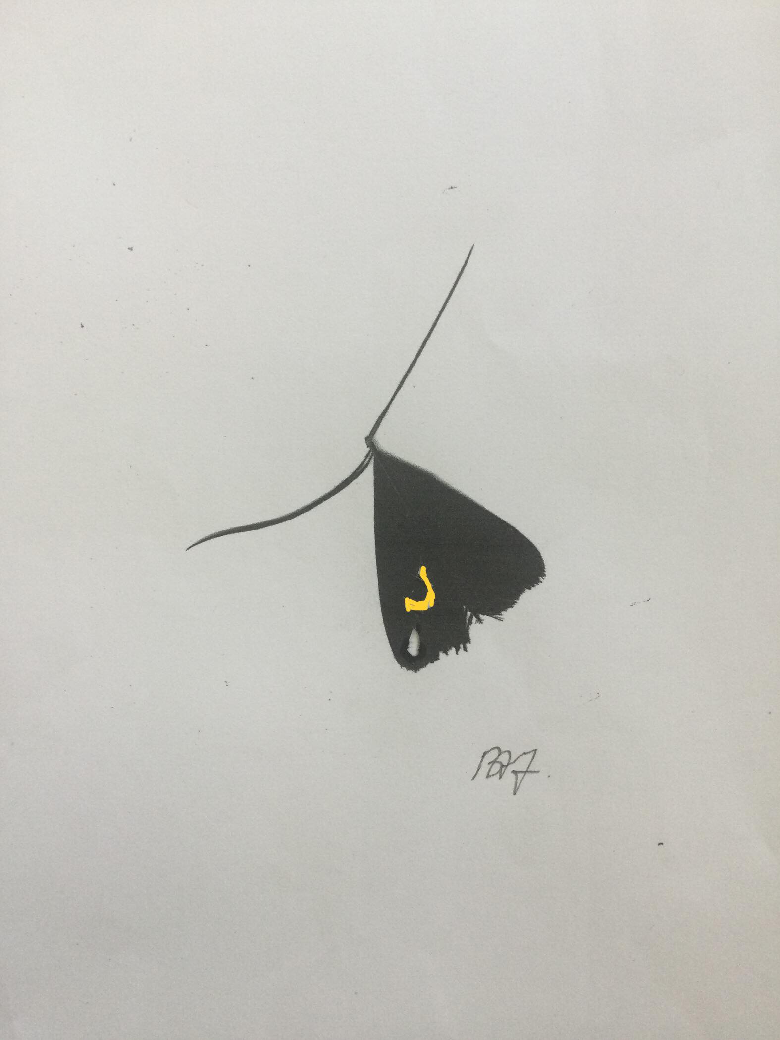 Natsværmer — black moth illustration with a yellow detail on pale paper